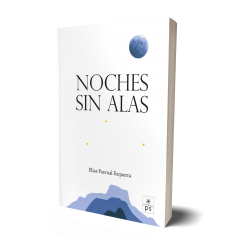 NOCHES SIN ALAS